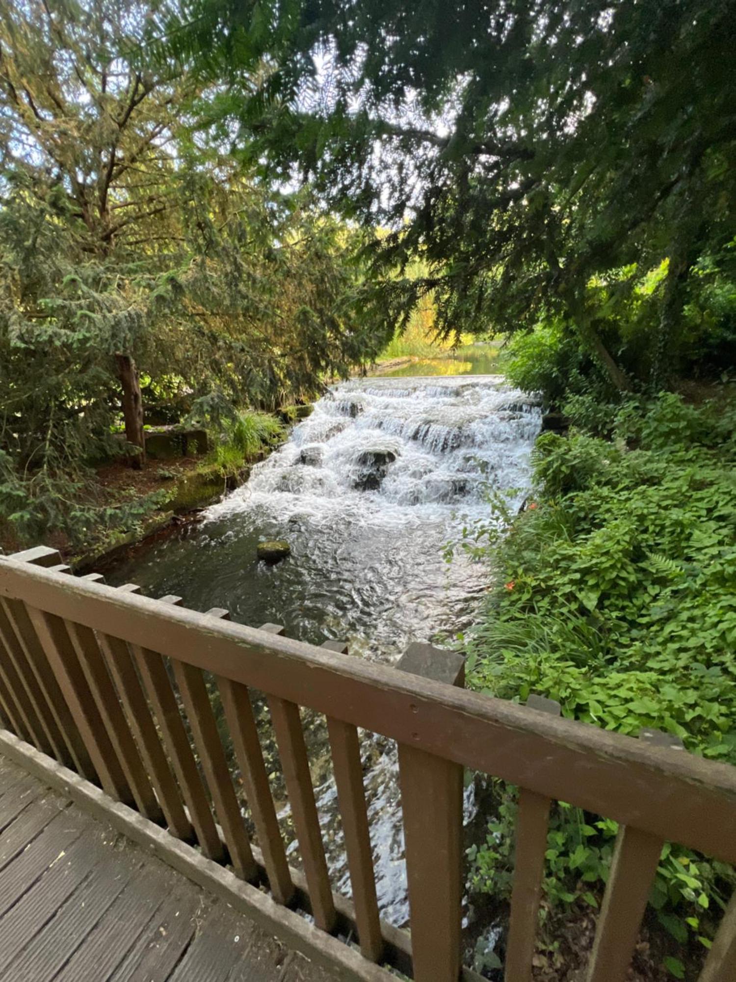 Cosy Private Flat In London, Free Parking On Premise Διαμέρισμα Carshalton Εξωτερικό φωτογραφία